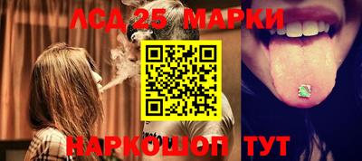 бошки Гатчина