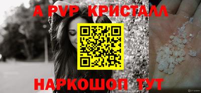 прущие крисы Гай