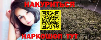 прущие крисы Гай