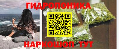 стафф Гагарин