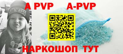 прущие крисы Гай