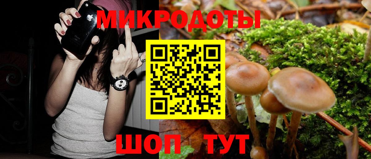 Псилоцибиновые грибы Cubensis  Вход с VPN  Медногорск  Галлюциногенные грибы прущие грибы 